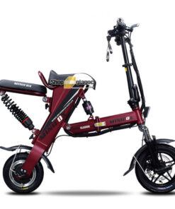 Xe Điện Gấp Gọn