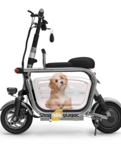 Xe Điện Có Hộc Đựng Đồ, Thú Cưng Yidi D6 SPW01