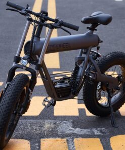 Xe Đạp Điện Thể Thao Coswheel T20