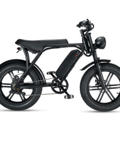 Xe Đạp Điện Trợ Lực