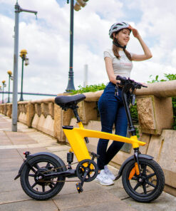 Xe Đạp Điện Gấp 36V H1