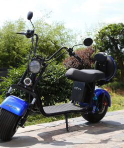 Xe Điện Bánh Lớn CITYCOCO HL800