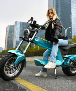 Xe Máy Điện Citycoco 60V 20A C6