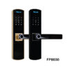 Khóa Cửa Điện Tử Vân Tay PHGLock FP8030