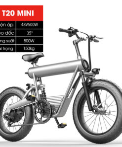 Xe Đạp Điện Thể Thao FTN T20