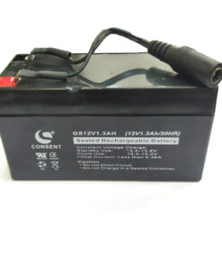 Ắc Quy GS12V Cho Máy Dò Kim Loại TLlong GS6000