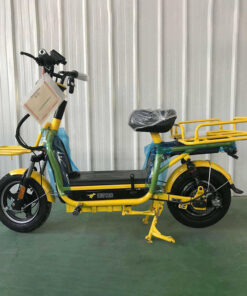 Xe Đạp Điện Chở Hàng 48V SPW07