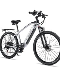 Xe Đạp Điện Địa Hình 500W 29 Inch EBYCCO E9