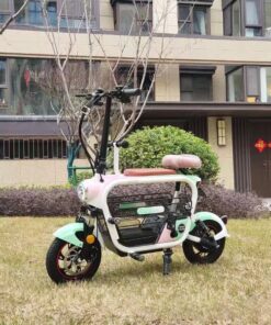 Xe Đạp Điện Lihaze 15Ah SPW14