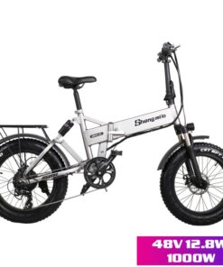 Xe Đạp Điện Gấp 20 Inch 48V 1000W MX21