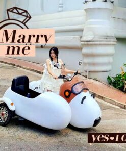 Xe Điện Snoopy 60V