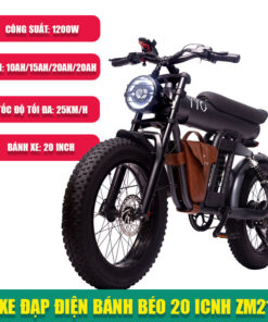 Xe Đạp Điện Bánh Béo 20 Inch YYG BR100