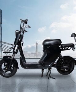 Xe Đạp Điện FLYING PIGEON 48V 20A SPW18