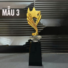 Cúp Vàng Vinh Danh Hình Ngôi Sao