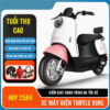 Xe Máy Điện Turtle King 48V 25Ah