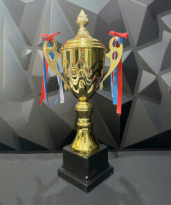 Cúp Thể Thao, Vinh Danh Giải Vàng Mẫu 1