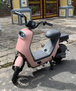 Xe Đạp Điện Hot Trend 48V 16Ah IV2