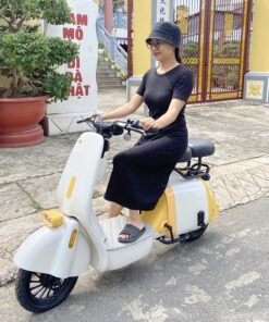 Xe Đạp Điện Hot Trend 48V 12Ah SPW19