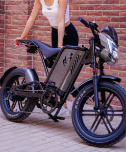 Xe Đạp Điện Retro Bánh Béo 20 Inch Vike