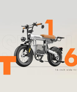 Xe Đạp Điện Thể Thao Coswheel T16