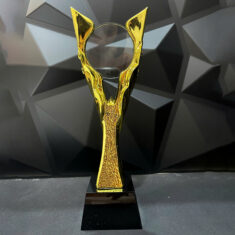 Cúp Thể Thao, Vinh Danh Mạ Vàng