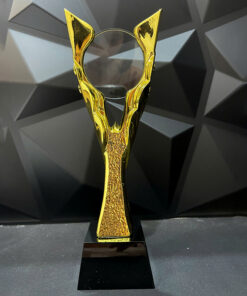 Cúp Thể Thao, Vinh Danh Mạ Vàng