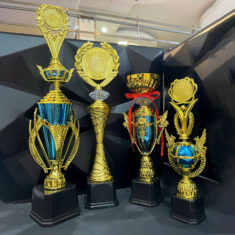Cúp Vàng Vinh Danh Mẫu 1/2/3/4