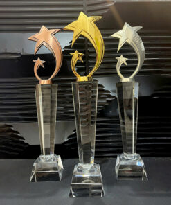 Cúp Pha Lê Ngôi Sao Vàng Bạc Đồng