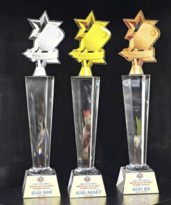 Cúp Pickleball Pha Lê Vàng Bạc Đồng SPW01