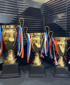 Cúp Thể Thao, Vinh Danh Giải Vàng Mẫu 2